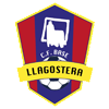 Club Futbol Llagostera